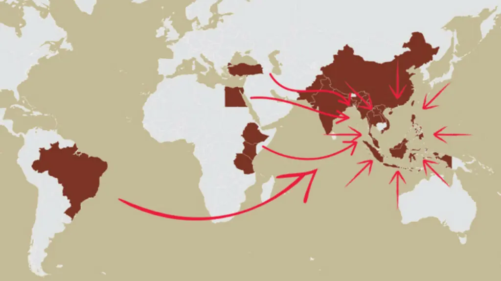 Human Trafficking & Scam Slavery - UN Issues New Report - Image 1