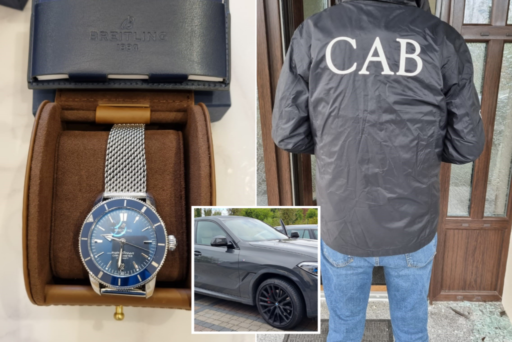 Irish Criminal Assets Bureau - Deny And Deprive Criminals Of Assets Acquired Through Criminal Conduct - 2023 - on SCARS ScamsNOW.com