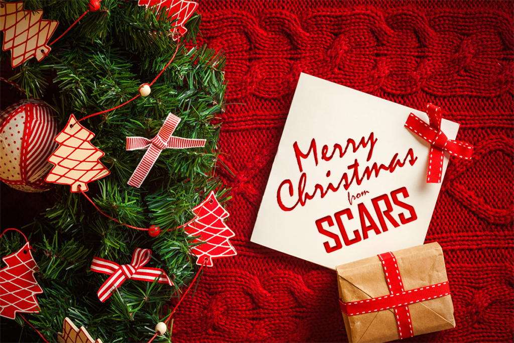 Romance Scam Victims & The Holidays - 2023 - on SCARS ScamsNOW.com