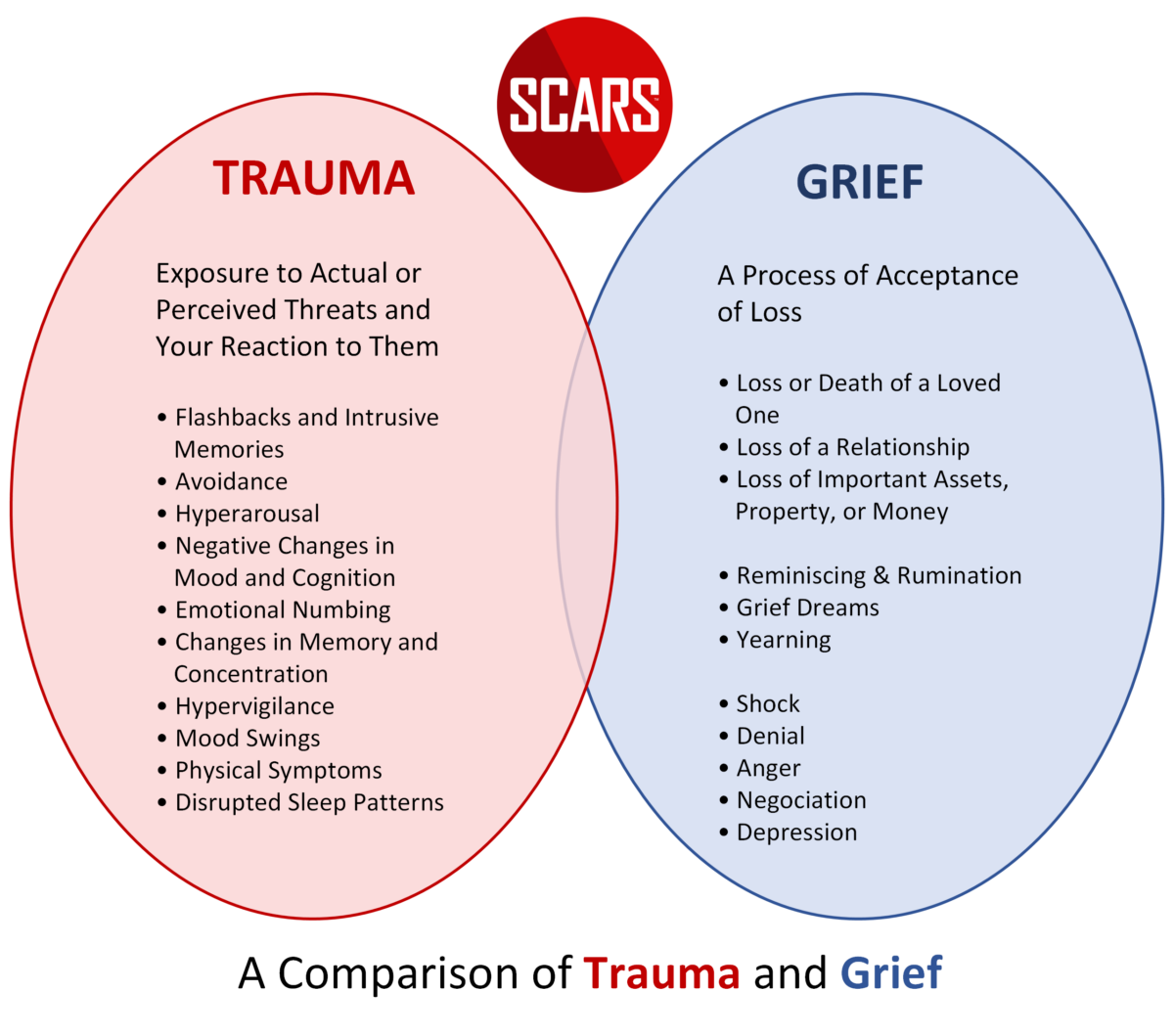 Trauma And Grief For Scam Victims - The Difference - 2024