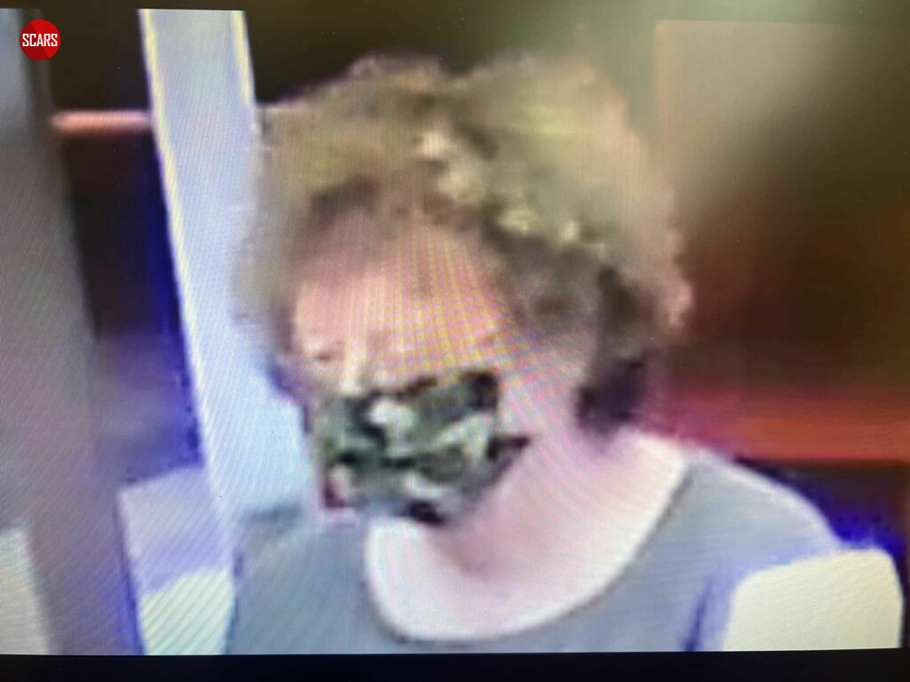 A Desperate Scam Victim - Ann Mayers - Becomes A Bank Robber - 2024 - on SCARS ScamsNOW.com