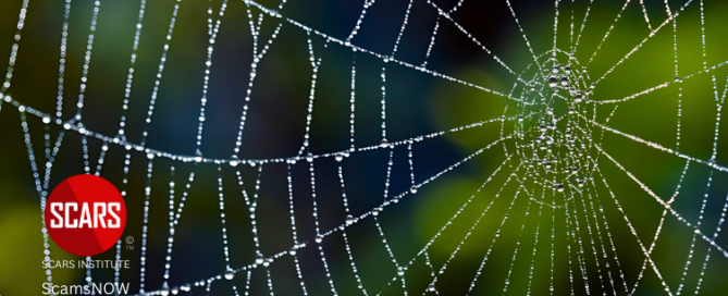 Spider-Webbing in Relationship Scams and its Impact on Scam Victims - 2024 - on SCARS Institute ScamsNOW.com - The Magazine of Scams Fraud and Cybercrime