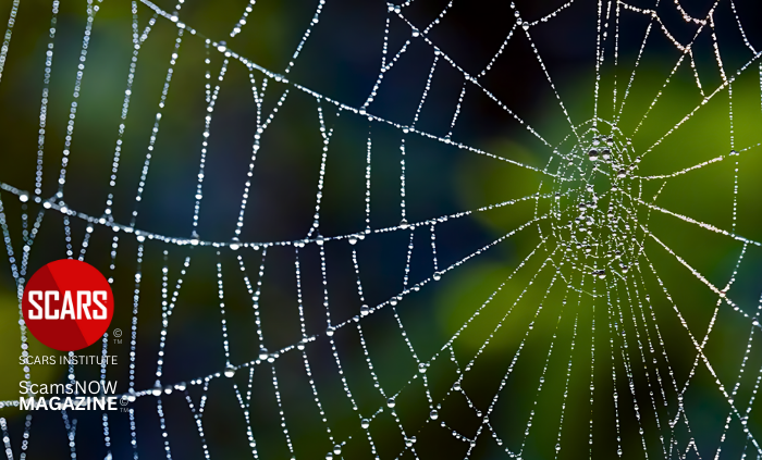 Spider-Webbing in Relationship Scams and its Impact on Scam Victims - 2024 - on SCARS Institute ScamsNOW.com - The Magazine of Scams Fraud and Cybercrime