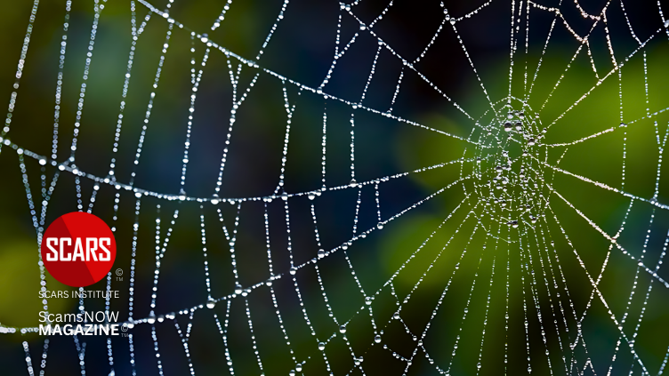 Spider-Webbing in Relationship Scams and its Impact on Scam Victims - 2024 - on SCARS Institute ScamsNOW.com - The Magazine of Scams Fraud and Cybercrime