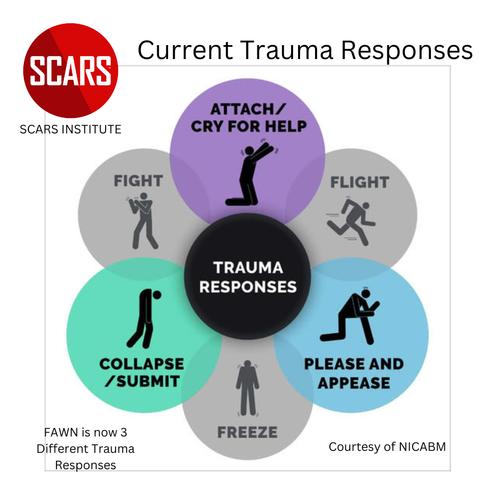 Current Trauma Responses