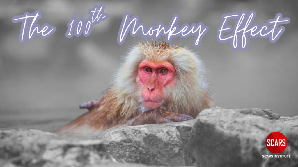 100th Monkey Effect and Scam Victim Recovery