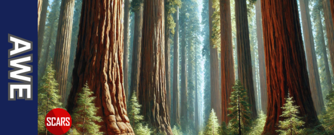 Awe - 2026 - on SCARS Institute ScamsNOW.com - The Magazine of Scams, Scam Victims, and Scam Psychology