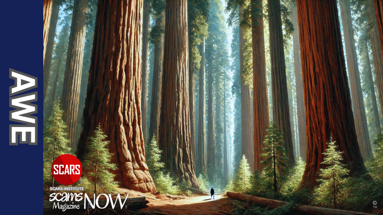 Experiencing Awe and Scam Victim Recovery - 2026