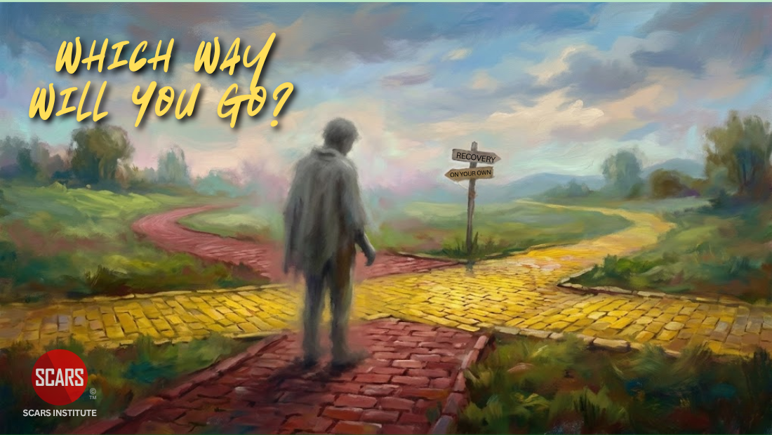 Returning to Recovery for Scam Victims – A SCARS Institute Guide – 2026 Returning to Recovery for Scam Victims - A SCARS Institute Guide - 2026