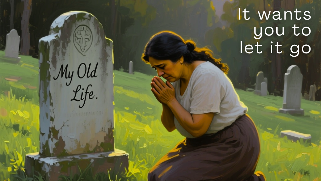 No One Gets to Keep Their Old Life After a Scam