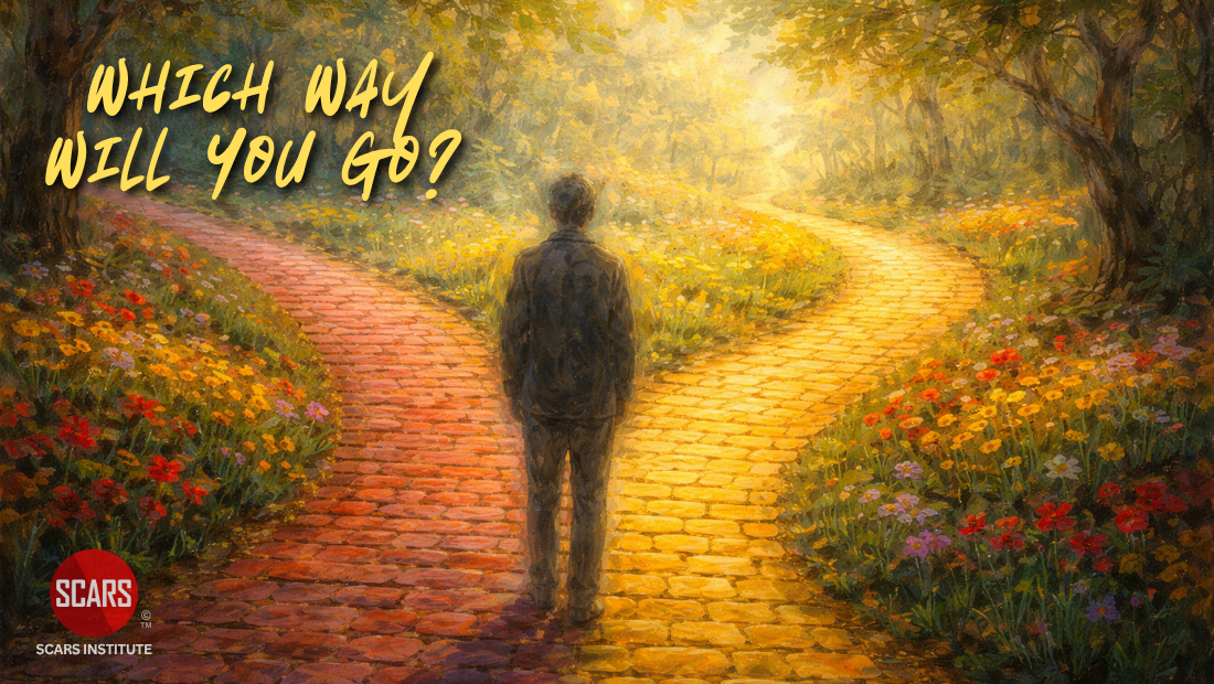 Returning to Recovery for Scam Victims – A SCARS Institute Guide – 2026 Returning to Recovery for Scam Victims - A SCARS Institute Guide - 2026