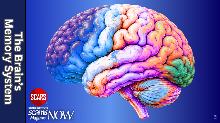 Your Brain's Memory System with Trauma - 2026