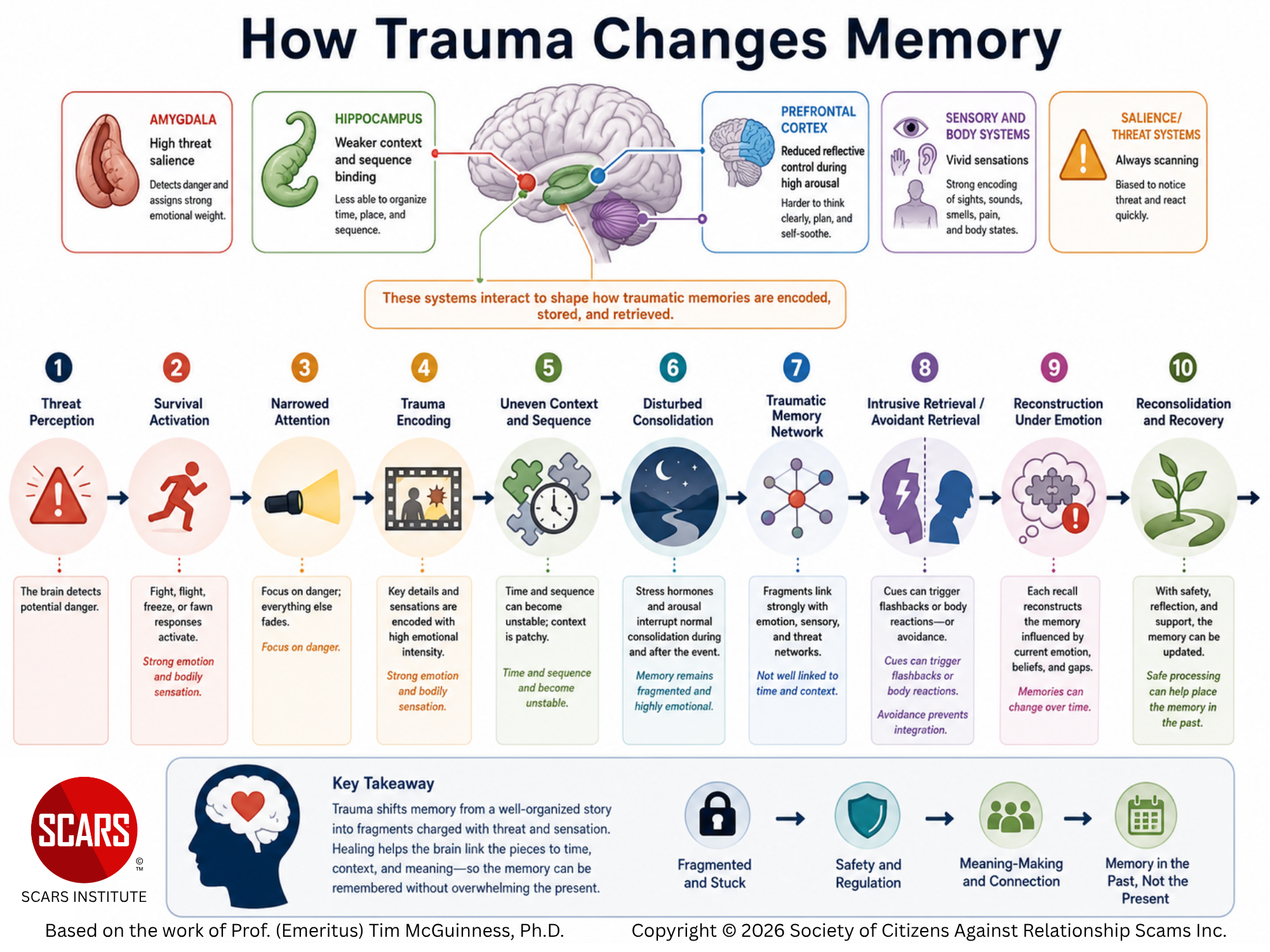 Your Brain's Memory System - How Memories Are Created and Recalled Normally, and How Psychological Trauma Changes the Process
