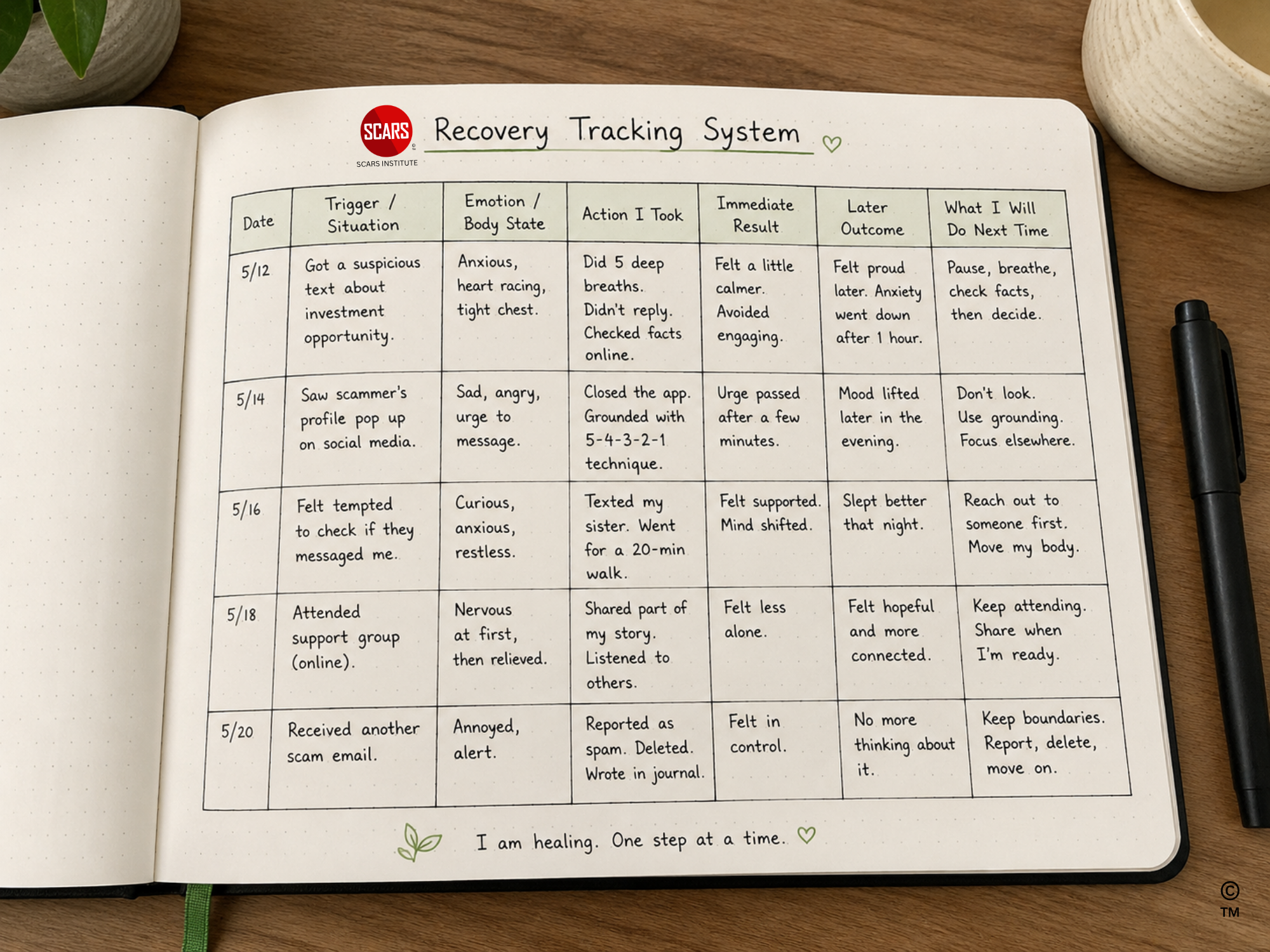 The SCARS Institute Recovery Tracking System - 2026